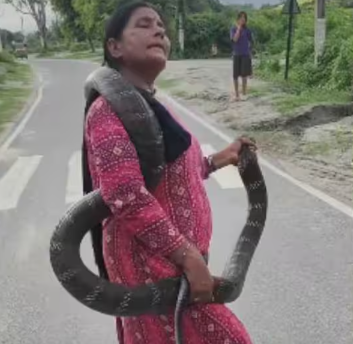 बिहार में 10 फीट लंबे कोबरा का रेस्क्यू वायरल, स्नेक रेस्क्यूअर महिला का साहस देख हैरान रह गए लोग
