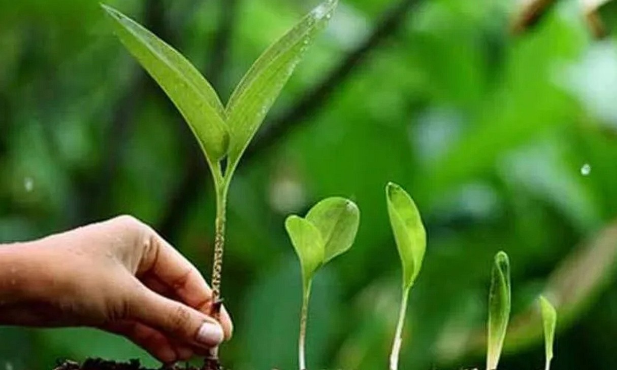 पर्यावरण संरक्षण और स्वच्छता अभियानों को मिला बढ़ावा, जागरूकता पर जोर तेज  Janta24x7News
